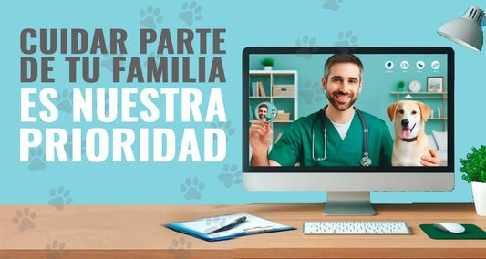 HOY ES MÁS FRECUENTE LA CONSULTA ONLINE O TELEMEDICINA EN MEDICINA VETERINARIA