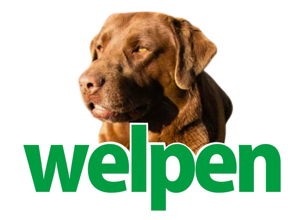 Welpen Veterinaria